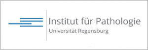 Regensburg_Institute_web